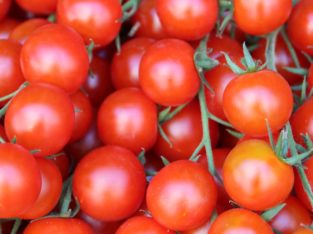 Tomatoes in bulk