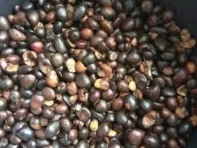 Palm kernel nuts & palm oil
